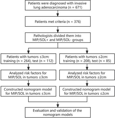 CT morphological features and histogram parameters to predict micropapillary or solid components in stage IA lung adenocarcinoma